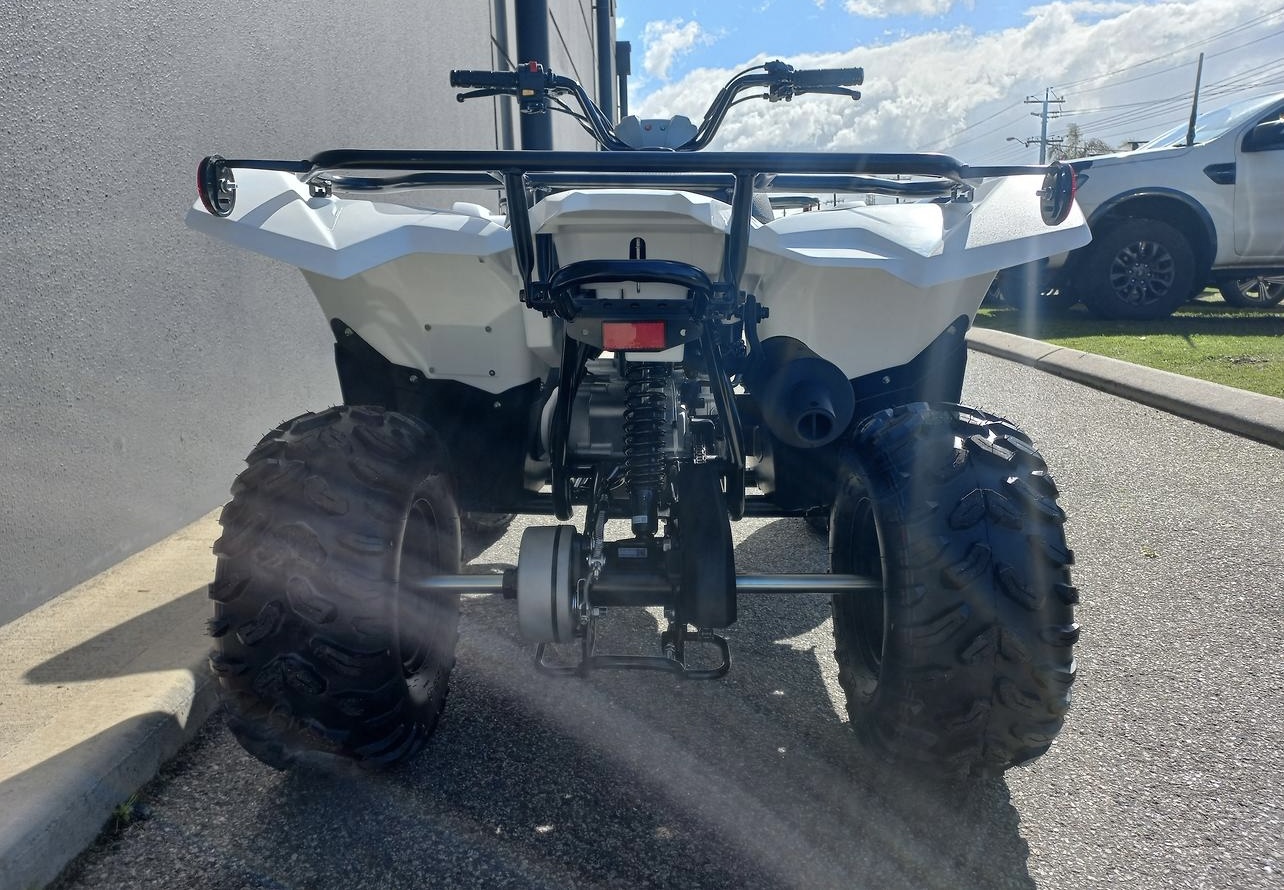 2024 Yamaha Grizzly 90 (YFM90RYX)