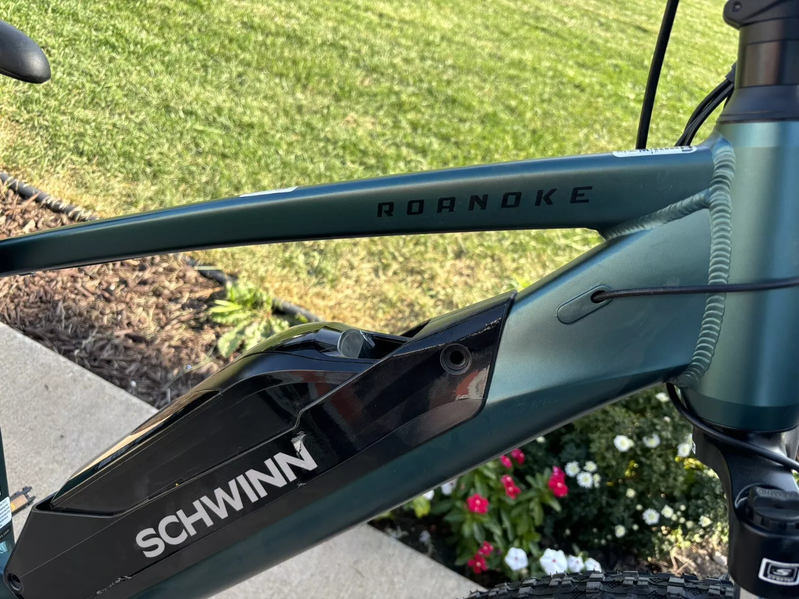 Schwinn Coston DX