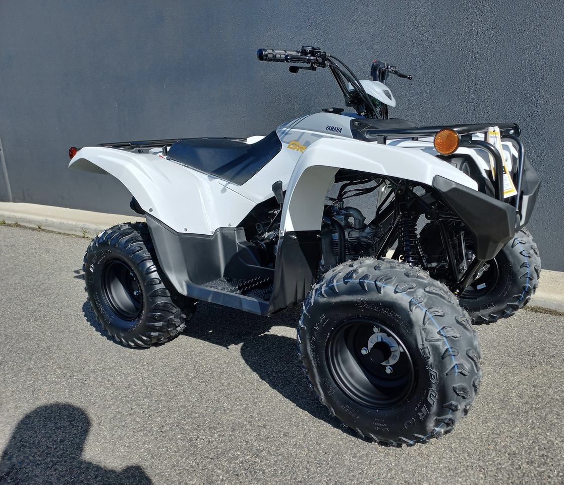 2024 Yamaha Grizzly 90 (YFM90RYX)