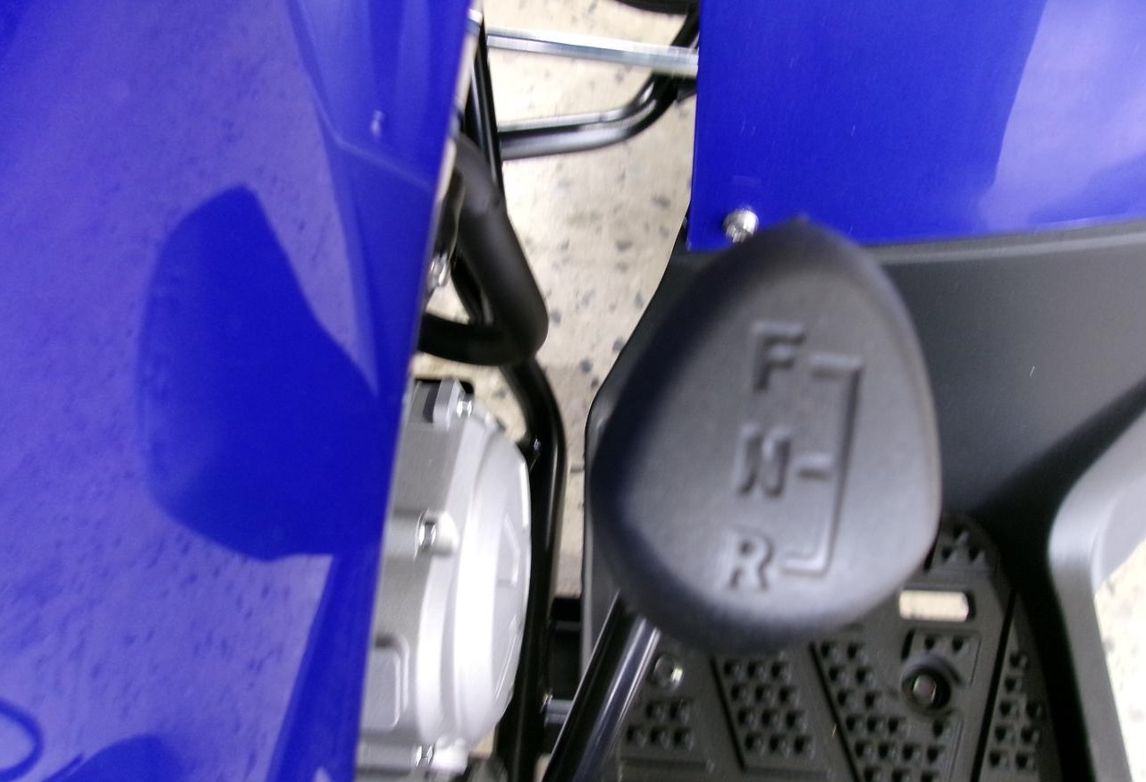 2024 Yamaha Grizzly 90 (YFM90RYX)