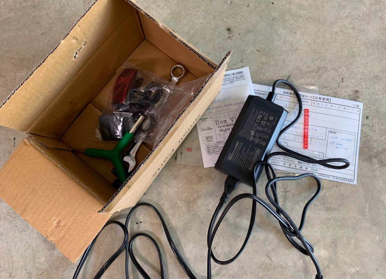 ONYX 600W Electric Moped