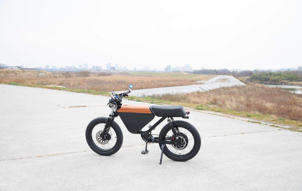 ONYX 600W Electric Moped