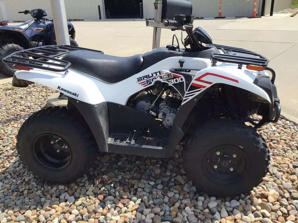 Brute Force® 300