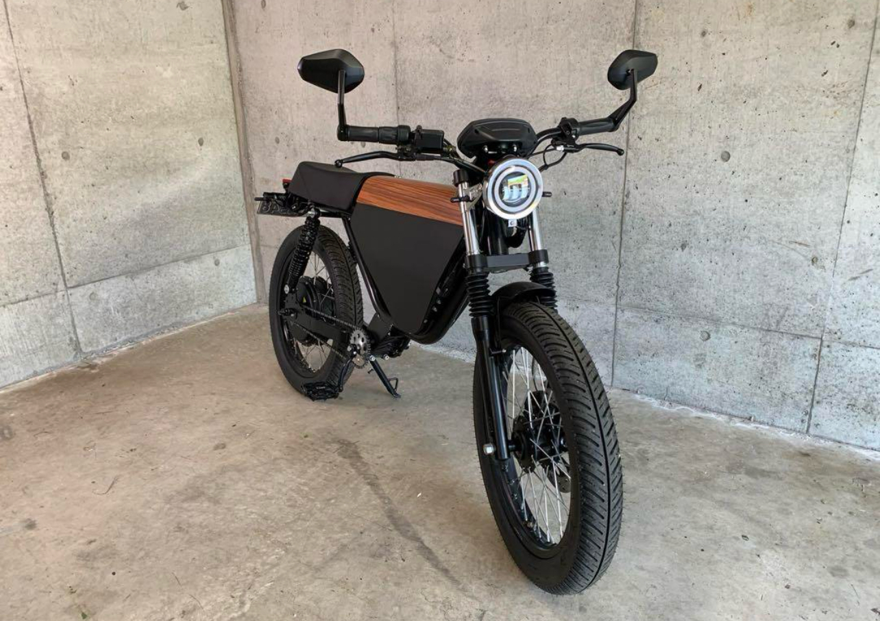 ONYX 600W Electric Moped
