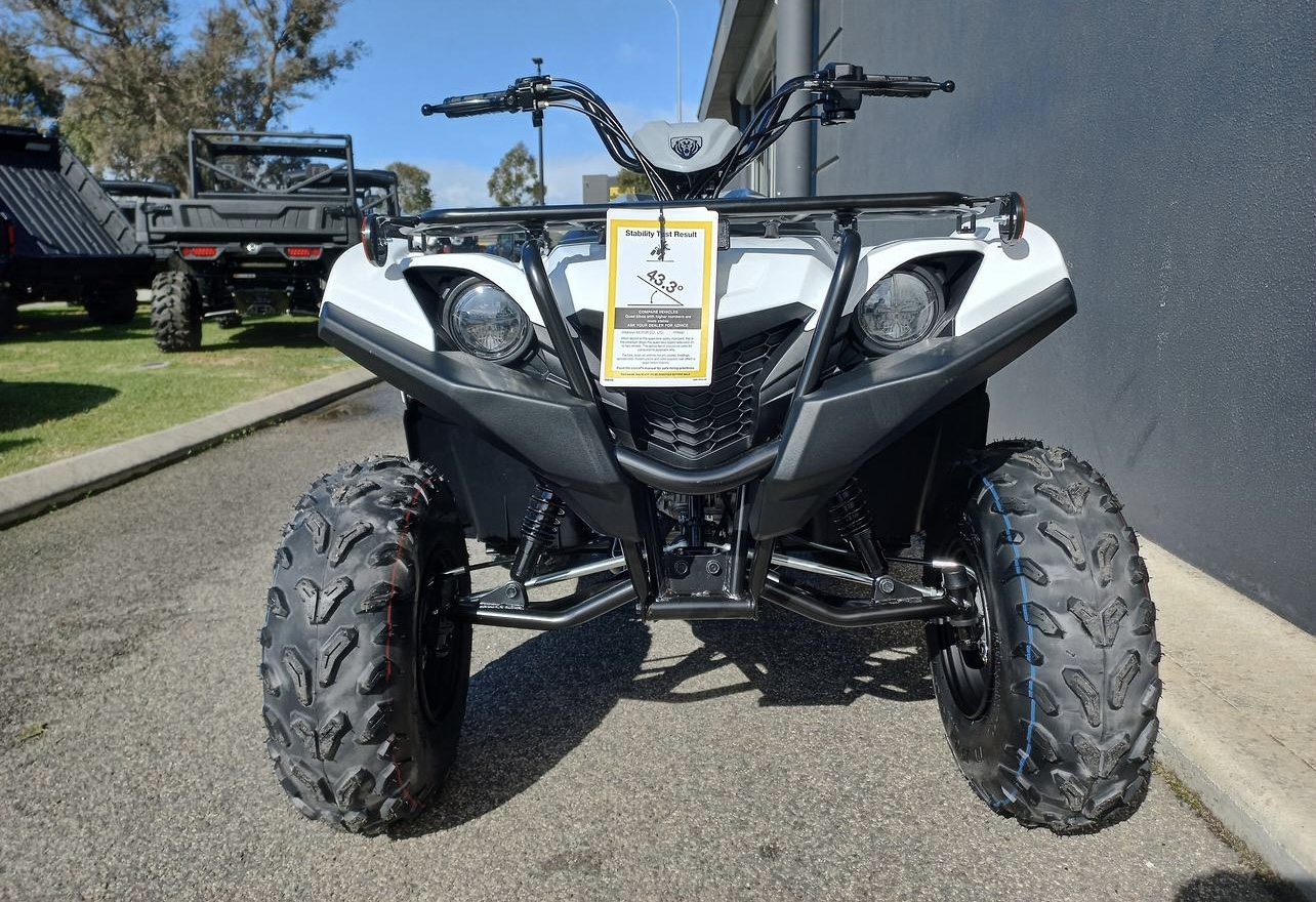 2024 Yamaha Grizzly 90 (YFM90RYX)