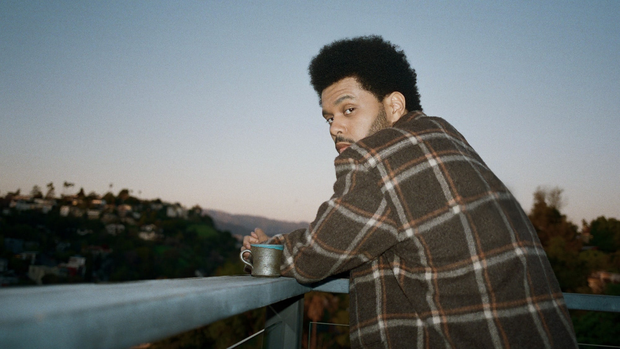 Photograph of Abel "The Weeknd" Tesfaye