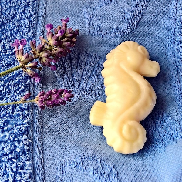 Seahorse soap