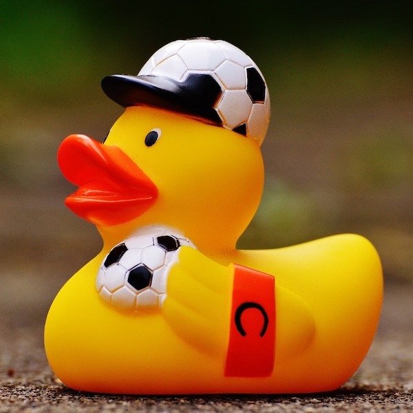 Soccer duck