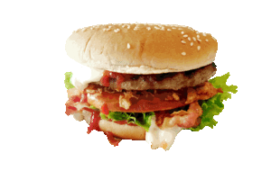 Bacon-Egg Burger Bacon-Egg Burger