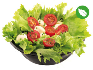 Snack Salat (neue Rezeptur) Snack Salat (neue Rezeptur)