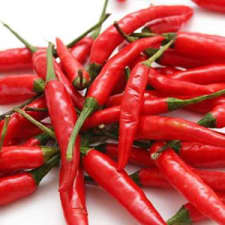Gehackte Thai Chillies Gehackte Thai Chillies