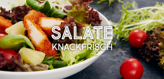 Salat Salat