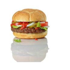 473. Salsa Burger 473. Salsa Burger