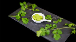 E1 - Wasabi E1 - Wasabi