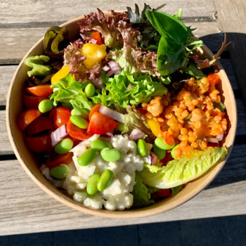 Sommersalat Sommersalat