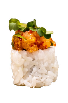 Cajun Lava Cajun Lava