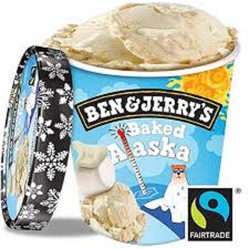 Ben & Jerry Baked Alaska 465ml Ben & Jerry Baked Alaska 465ml