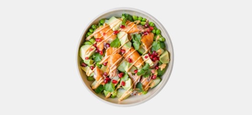 Japanese Salmon Bowl Japanese Salmon Bowl