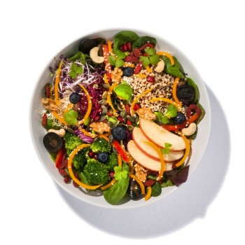 Anti-Oxidant Bowl Anti-Oxidant Bowl