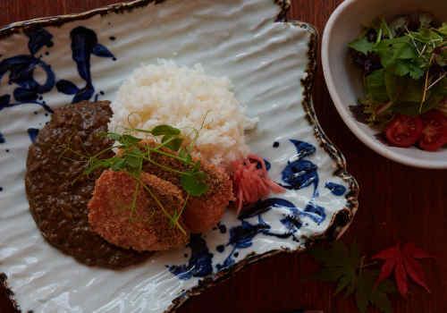 Shake Katsu Horenso Curry Shake Katsu Horenso Curry