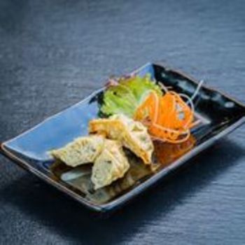 Chicken Gyoza Chicken Gyoza