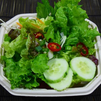 Bunter gemischter Salat mit Tom Style Sauce