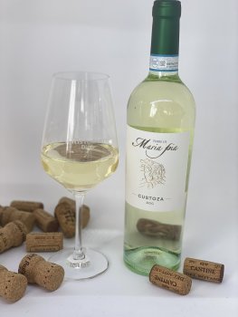 Bianco di Custoza Bianco di Custoza