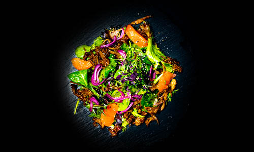 Barbarie Duck Salad Barbarie Duck Salad