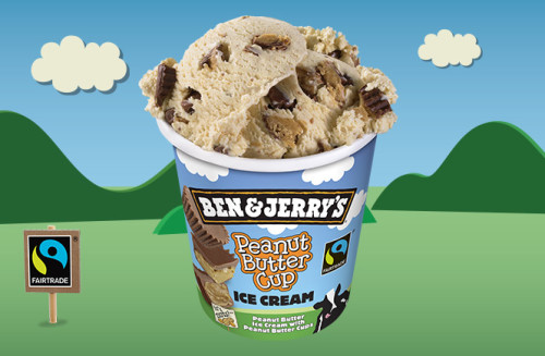 Ben & Jerry's Peanut Butter Cup (500ml) Ben & Jerry's Peanut Butter Cup (500ml)