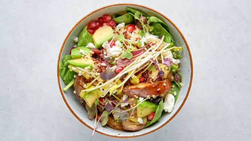 Dash of Delish Dash of Delish