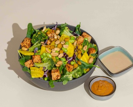 Banyu Bowl Banyu Bowl