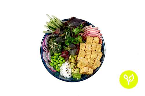 Pokebowl mit Tofu (vegan) Pokebowl mit Tofu (vegan)