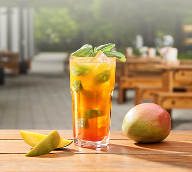Durstlöscher Mango-Kranbeere-Basilikum 0,5l Durstlöscher Mango-Kranbeere-Basilikum 0,5l