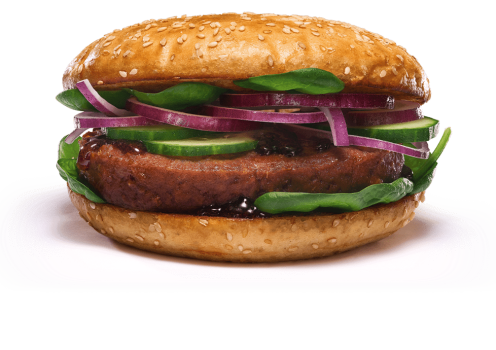 Teriyaki Vegan Teriyaki Vegan