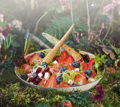 Obstkorb Bowl Obstkorb Bowl