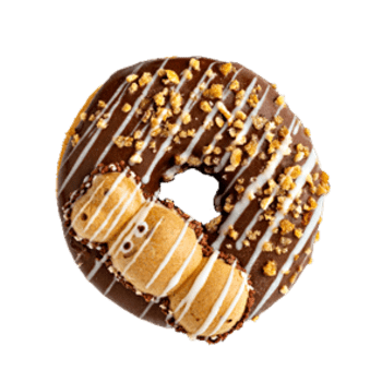 Cecilla Donut Cecilla Donut