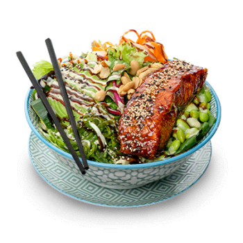 Yoko Poke Bowl Sake Teriyaki Yoko Poke Bowl Sake Teriyaki