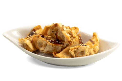 Gyoza Ente - 5 Stück Gyoza Ente - 5 Stück