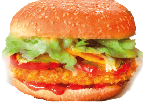 Chicken Burger Chicken Burger