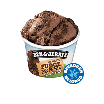 Chocolate Fudge Brownie Non-Dairy (465ML) Chocolate Fudge Brownie Non-Dairy (465ML)