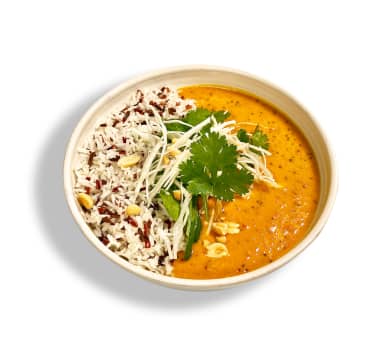 indian curry bowl indian curry bowl