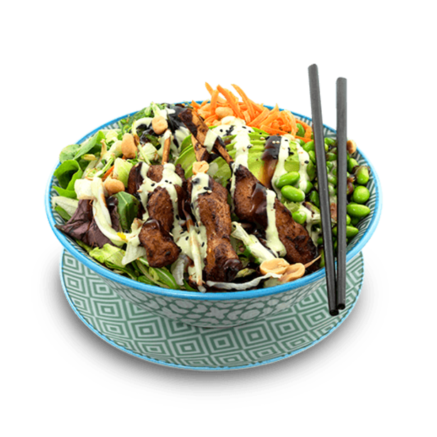 Yoko Poke Bowl Teriyaki Spieße Yoko Poke Bowl Teriyaki Spieße