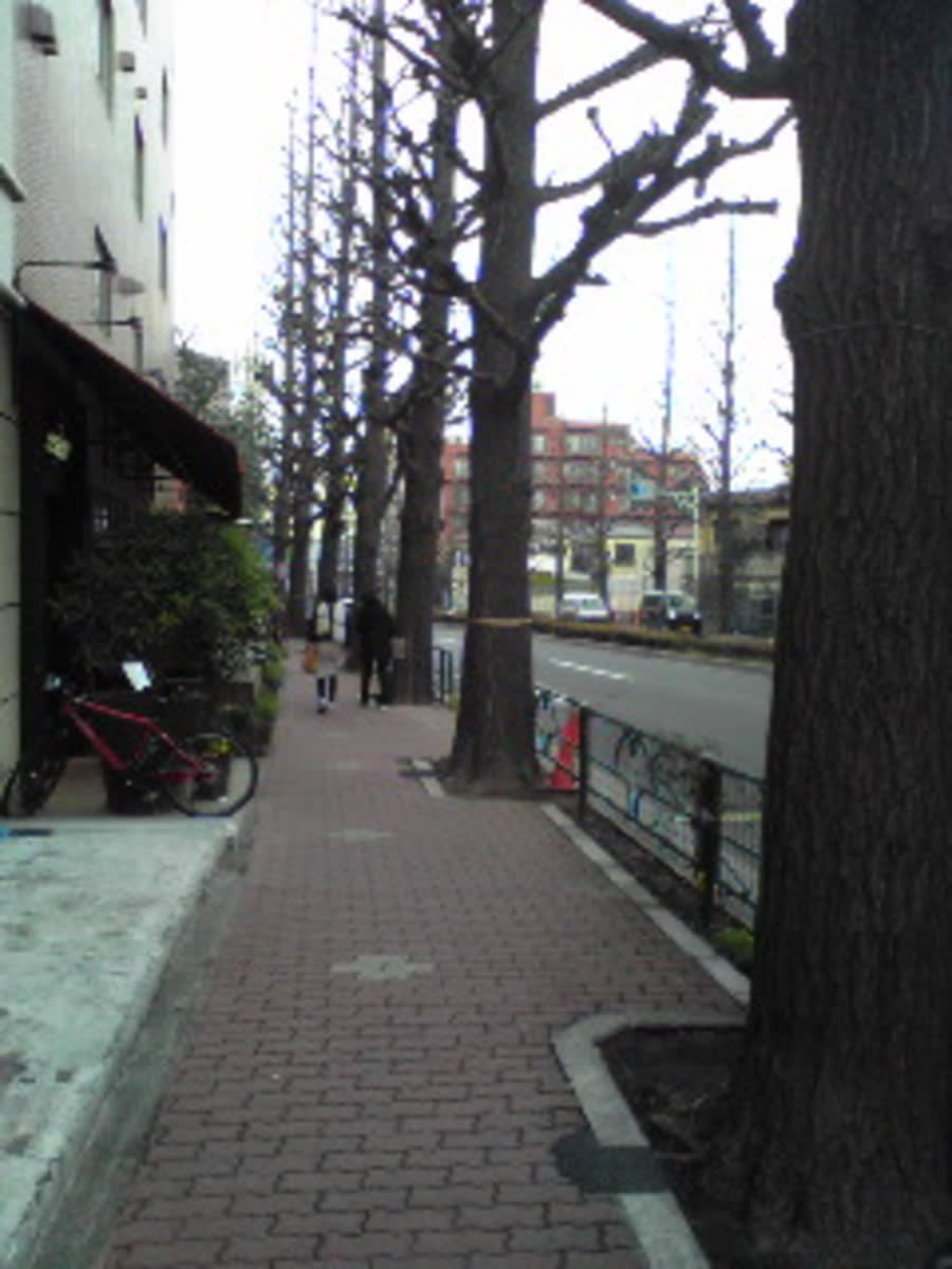 v20230506151909/fresh/building/J00100415589_2