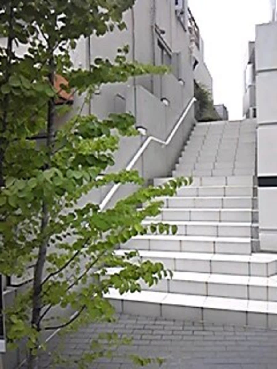 v20240228174054/fresh/building/J00100404564_9