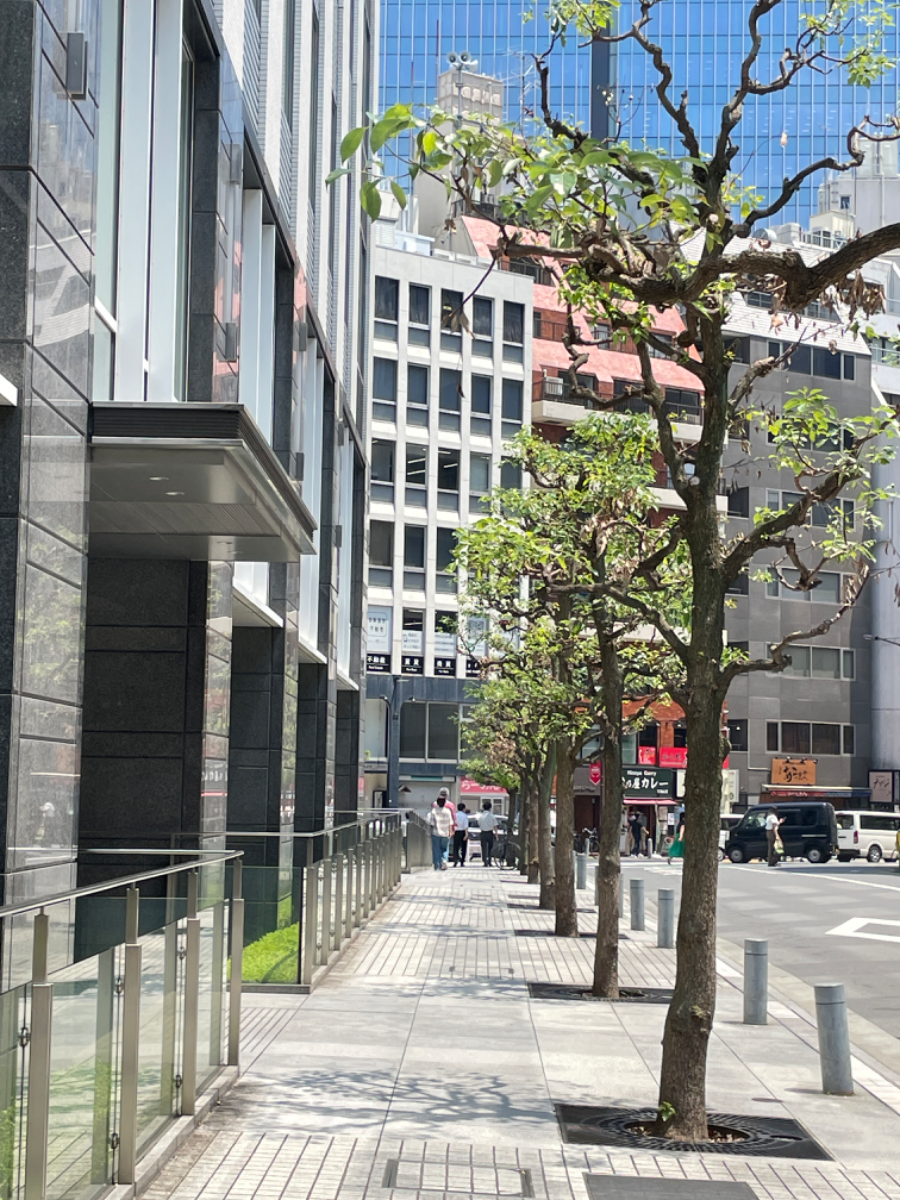 v20240802174109/fresh/building/J00100364081_5