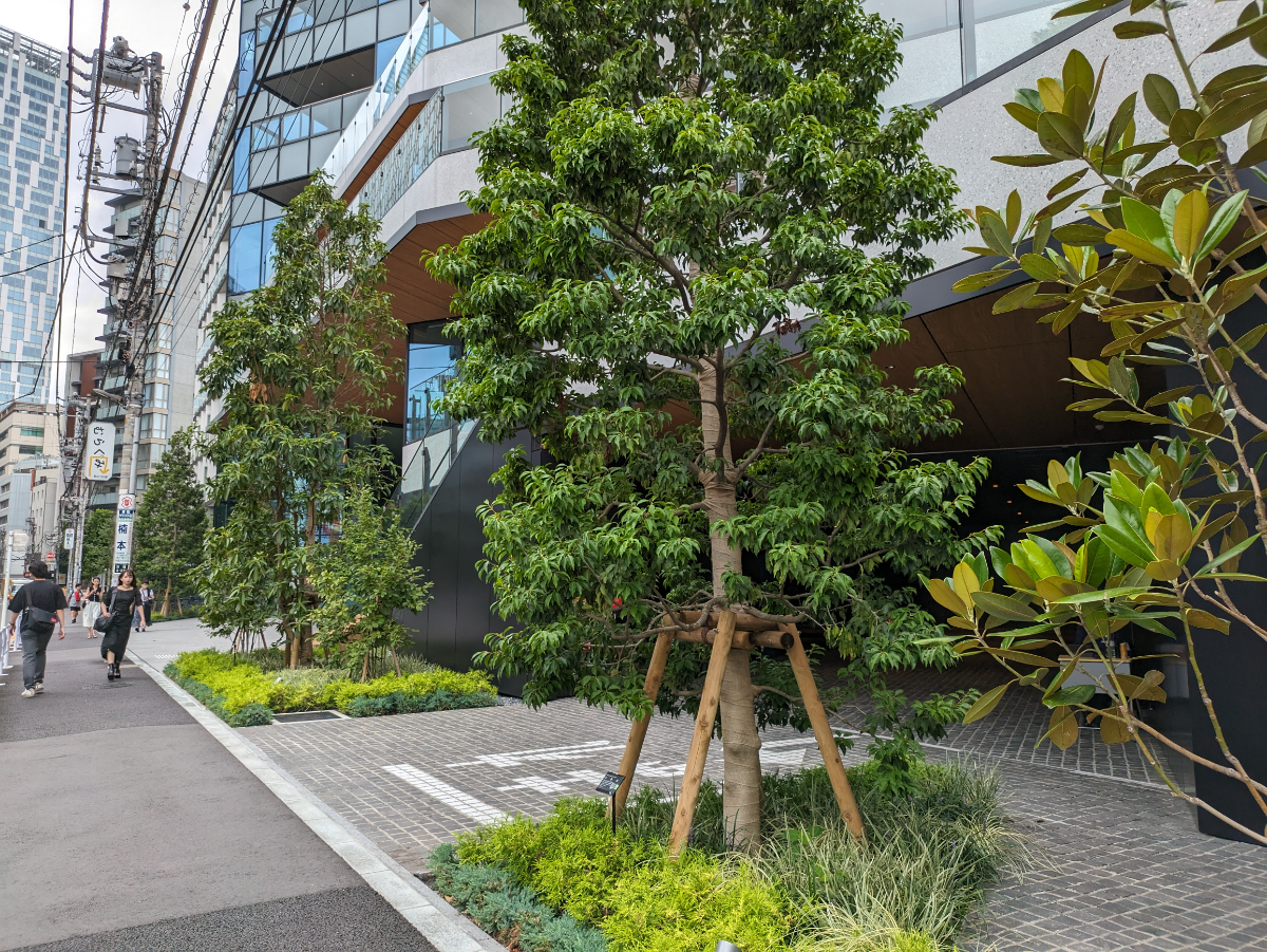 v20240911174048/fresh/building/J00100504576_66