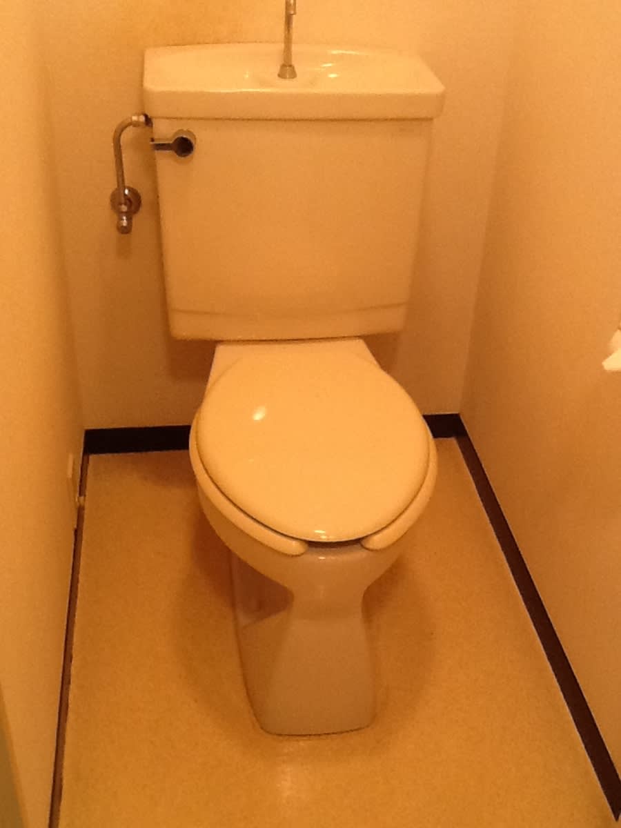 v20250307181309/fresh/room/J00102105995_9