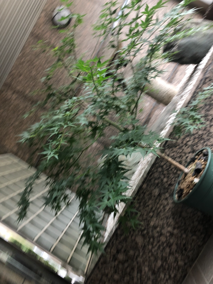 v20250326174119/fresh/building/J00100368631_13