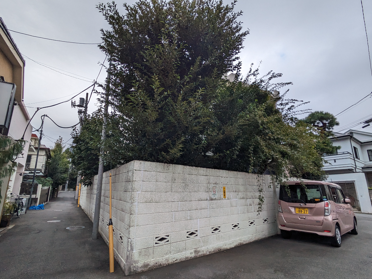 v20250421150656/fresh/building/J00100366681_11