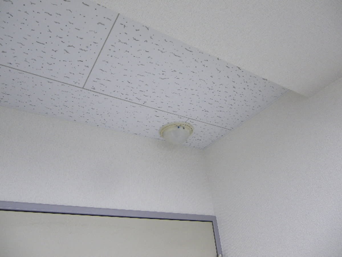 v20250427002254/fresh/building/J00100387601_12